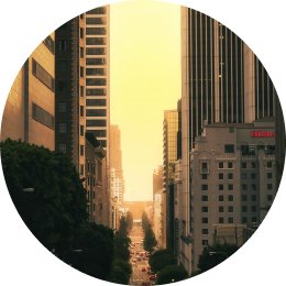 Photographie illustrative du thème Consora — environnement professionnel et perspectives internationales